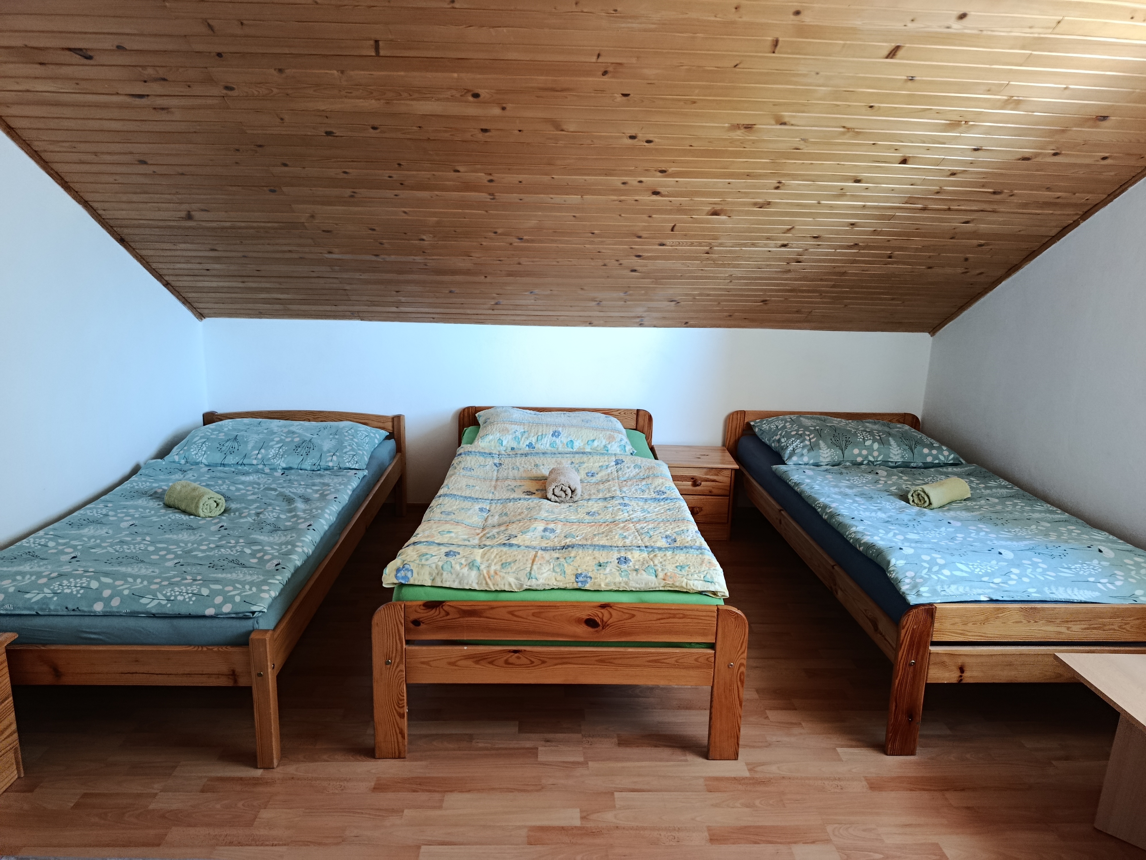 Fotografia — izba, podkrovie